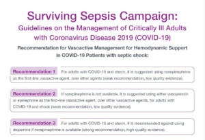 Surviving Sepsis Campaign vasopressin